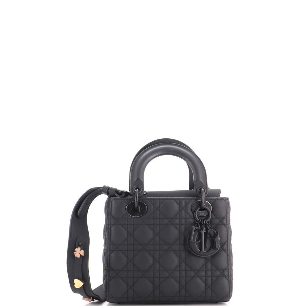 Christian Dior Ultra My ABCDior Lady Dior Bag